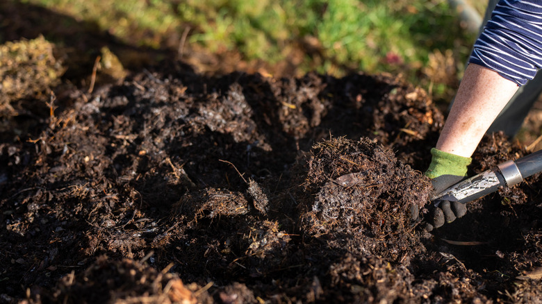 Person shoveling a compost pile