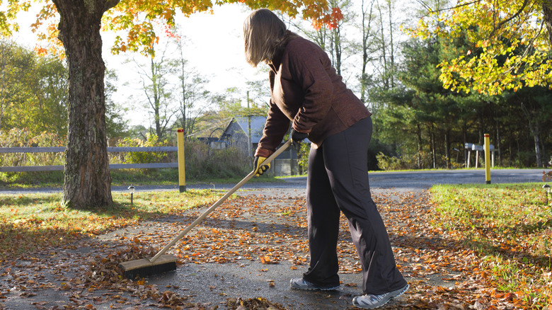 woman sweeping fallen leaves off of an asphalt driveway