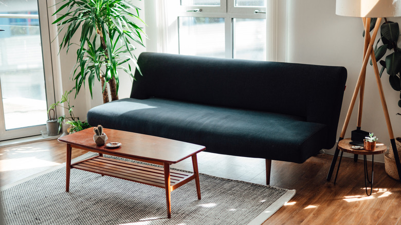 Mid century modern living room.