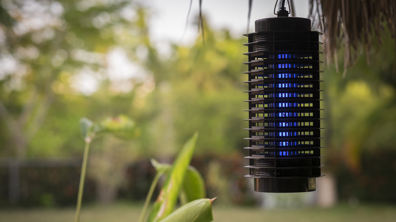 hanging bug zapper