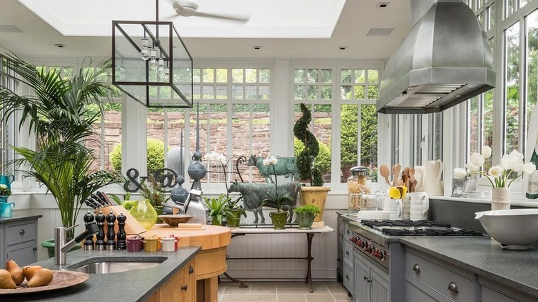 Kitchen with greenhouse windows