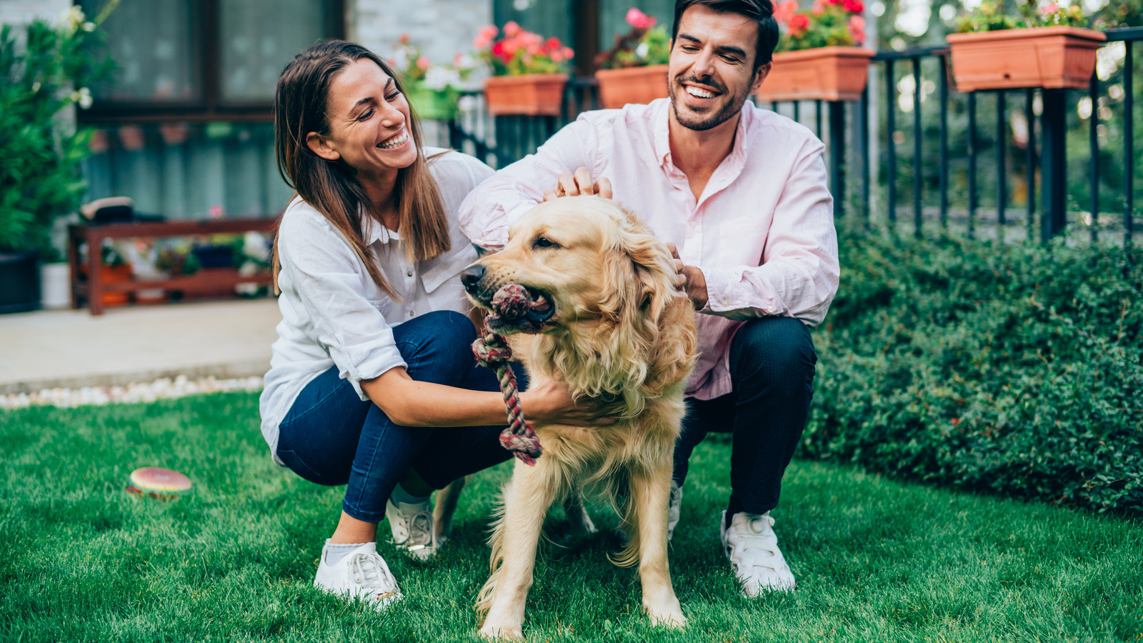 What To Know About Letting Pets On Your Lawn After Using Weed And Feed