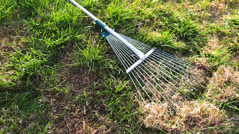 Rake used for de-thatching