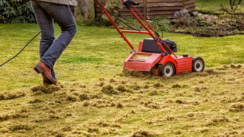 Person using electric scarifier