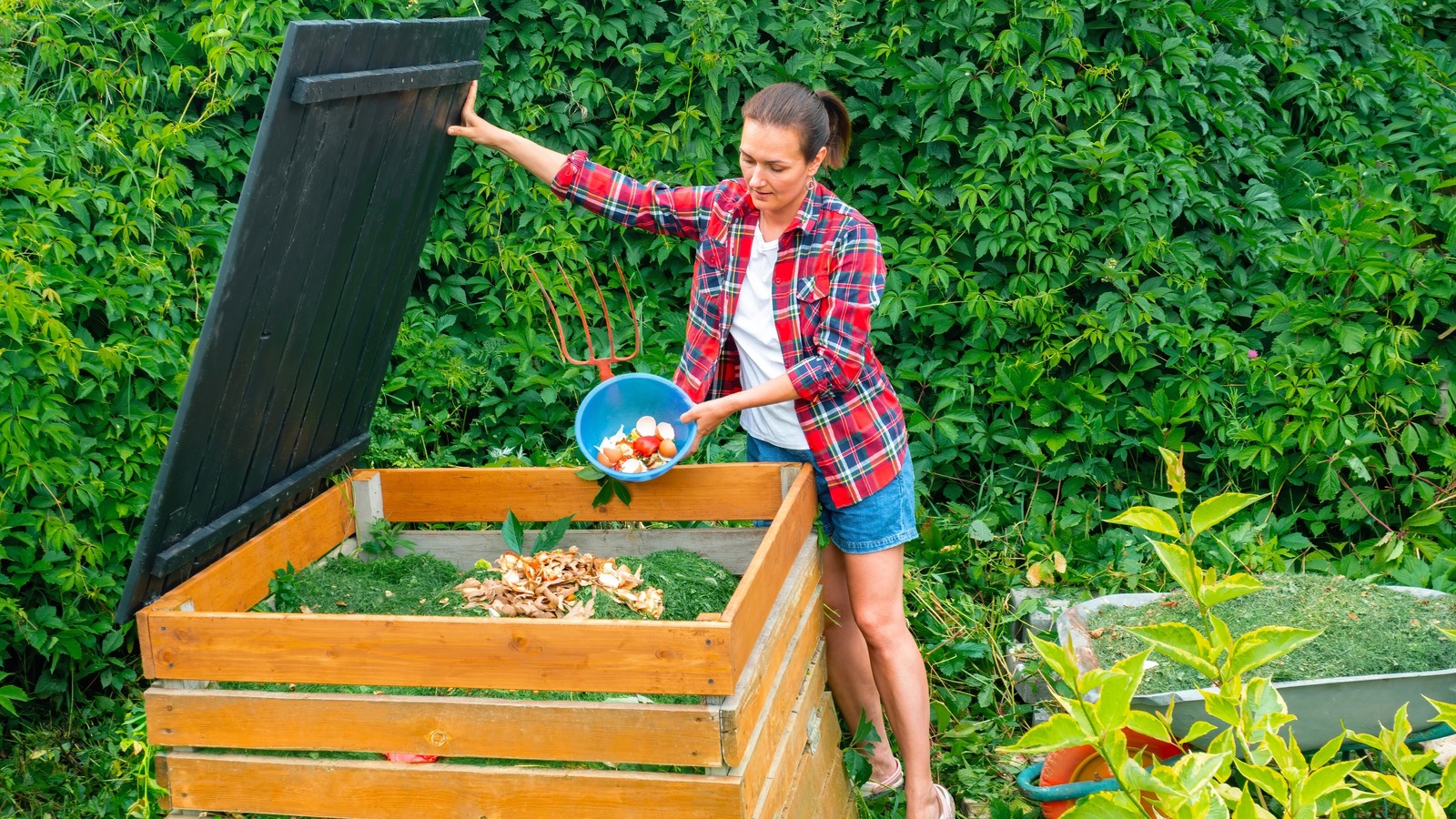 What To Know About Using Compost To Fertilize Your Lawn