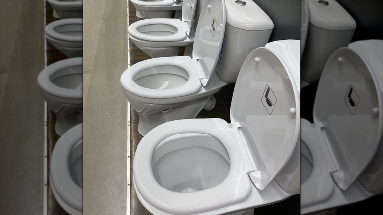 toilets with different bowl shapes