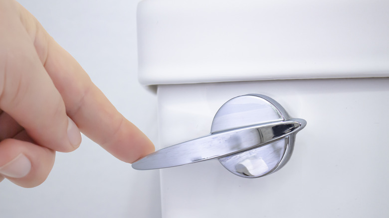 finger flushing toilet