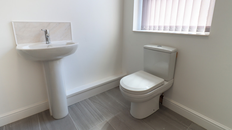 A basic skirted toilet and pedestal sink are close to each other in a light-filled bathroom