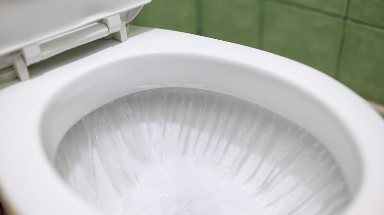 Water flushes into a toilet bowl