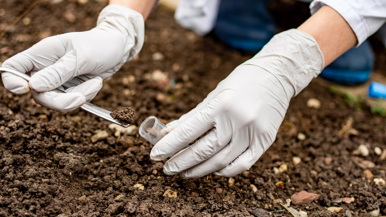 Gloved hand collecting soil samples