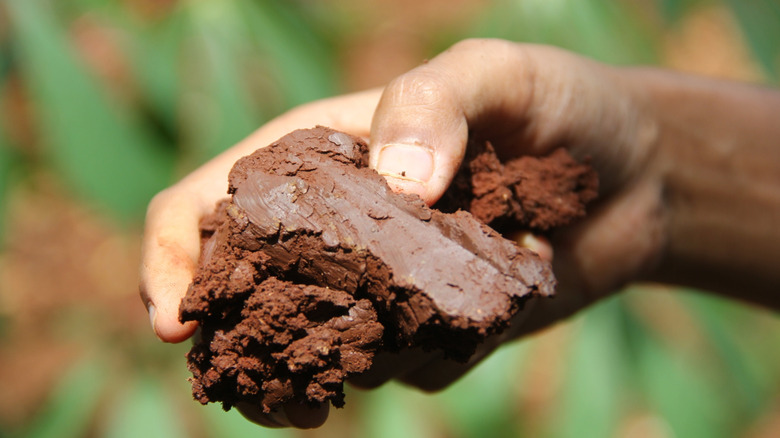 A person holds a clump of clay soil.