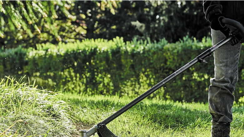 The DeWalt 60V weed eater in action