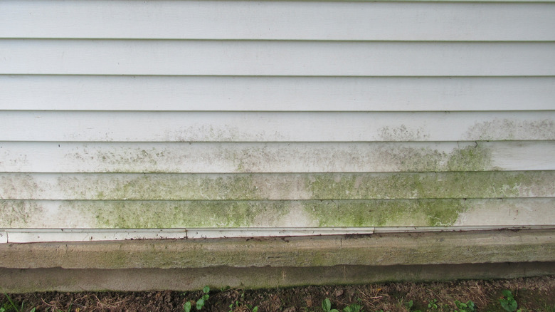 White vinyl siding covered with grime