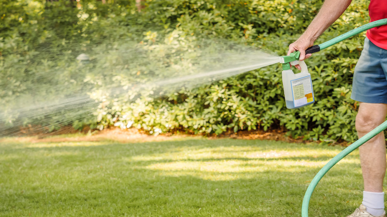Landscaper spraying lawn with liquid fertilizer