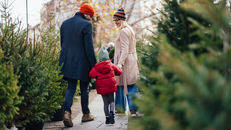 family choosing Christmas tree from lot