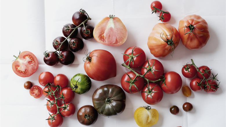 A variety of tomatoes of different colors and sizes on a white surface