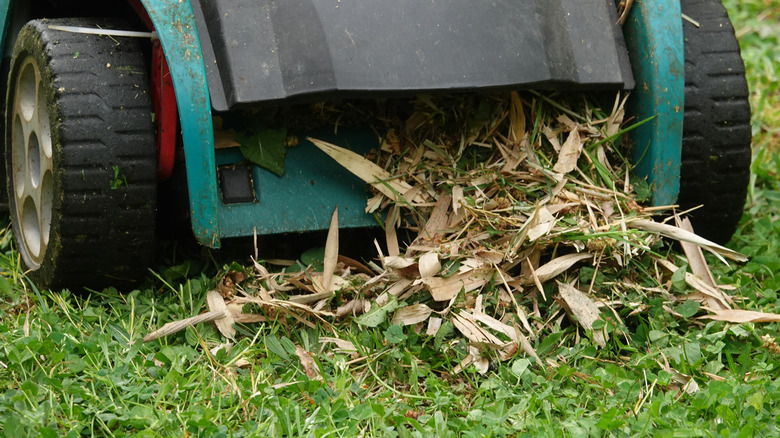 A lawn mower mulching grass clippings onto a lawn