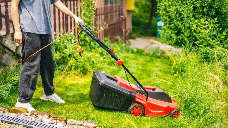 person using a corded lawn mower to cut grass in lawn