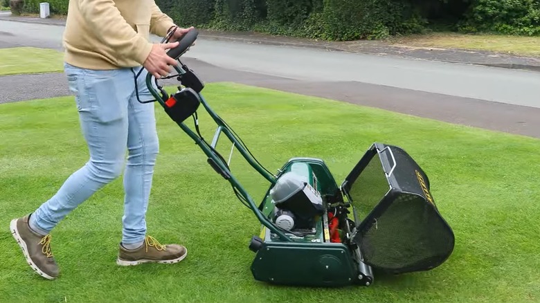 person using a powered cylinder reel mower on lawn