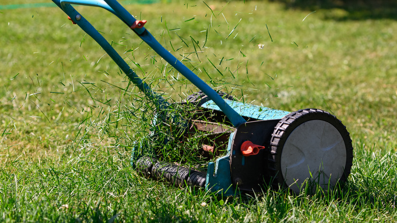 handheld push lawn mower in use