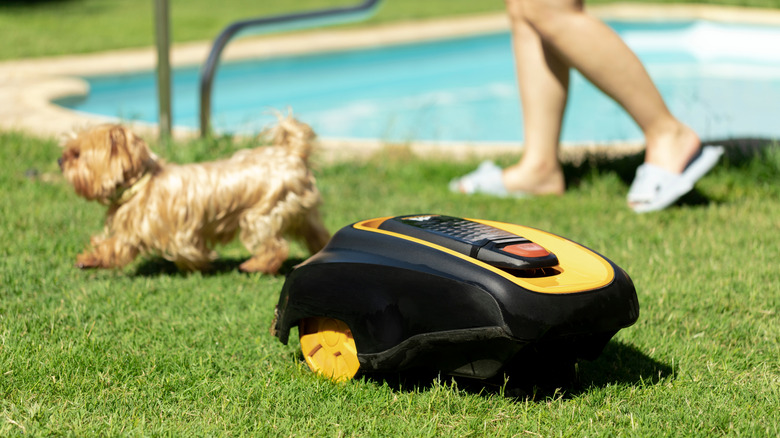 robotic lawn mower in lawn with dog and person in the background