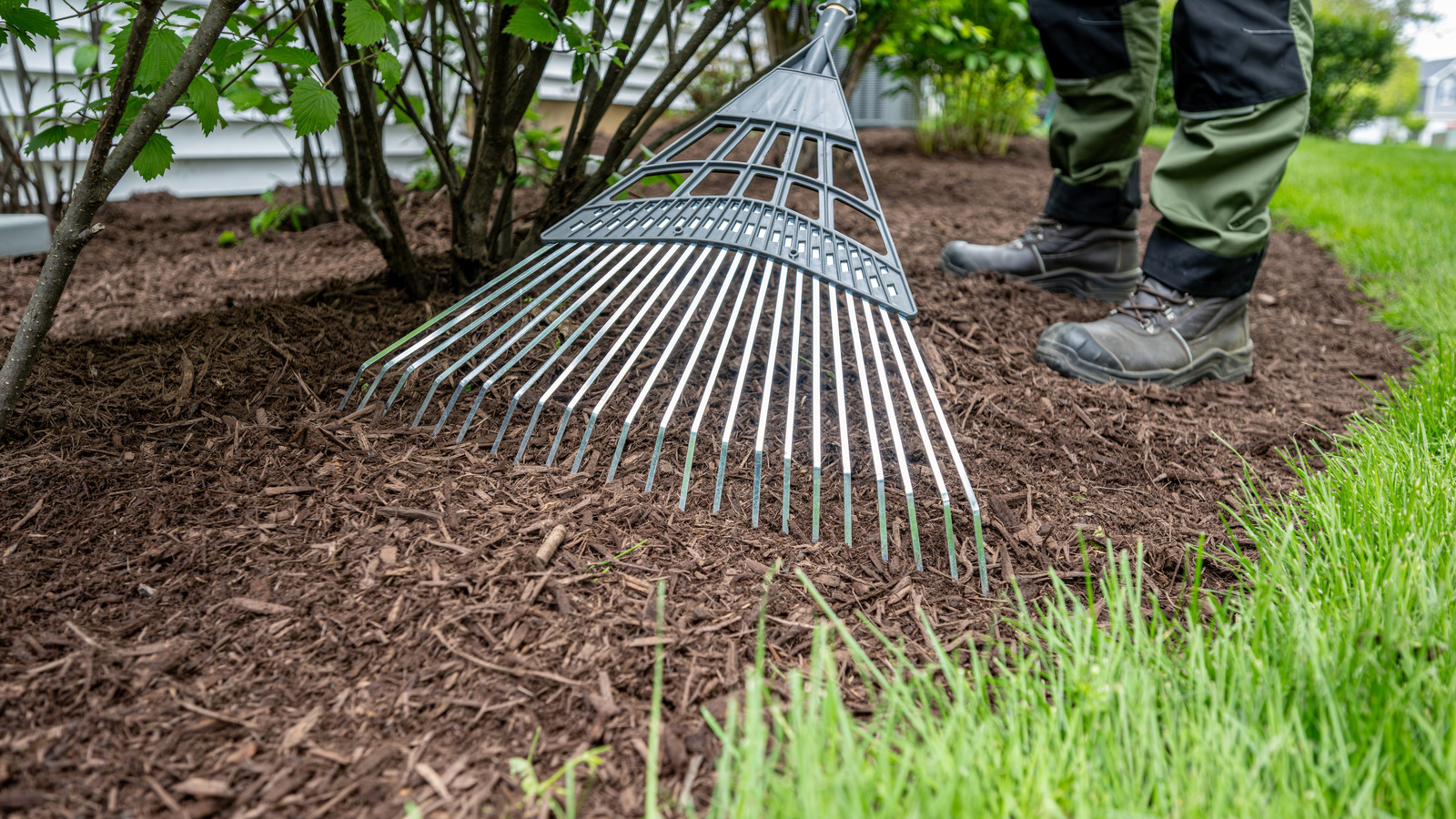 What Type Of Mulch Attracts The Most Bugs?