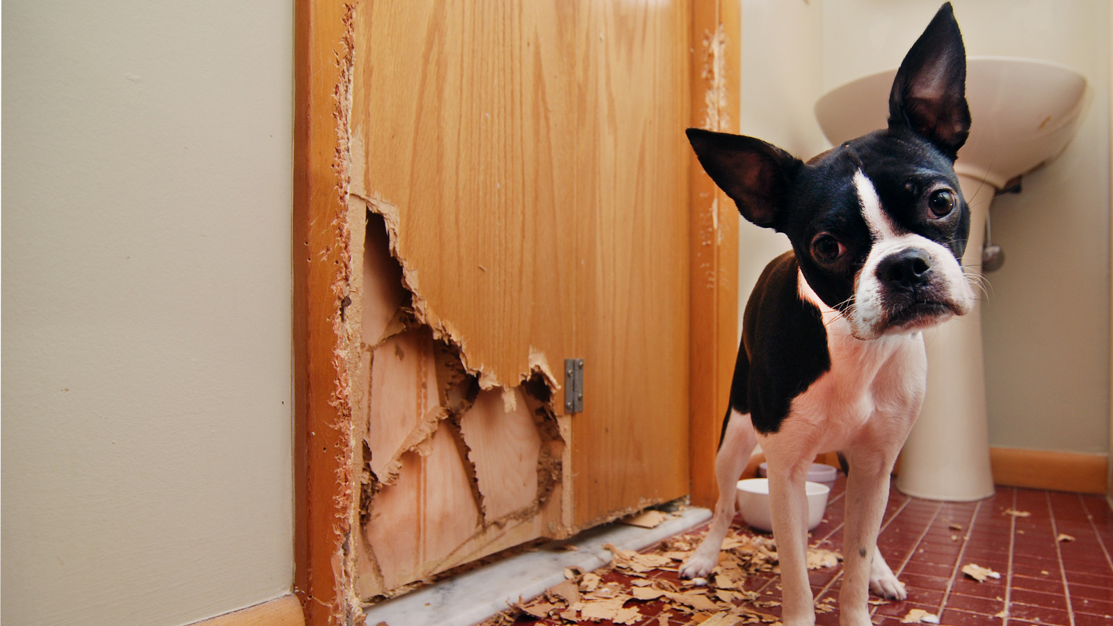 What You Need To Fix A Hole In A Hollow Core Door