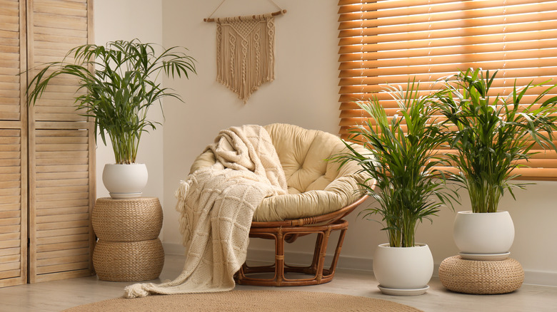 living room with palm plants