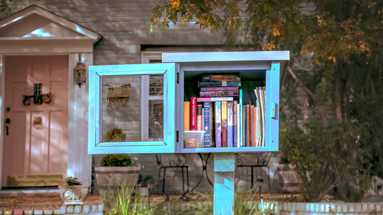 blue Little Free Library