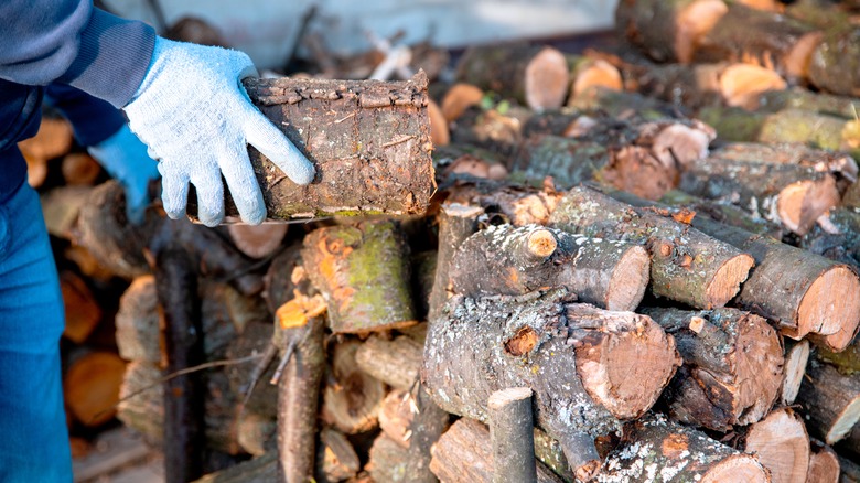 person stacking logs of firewood