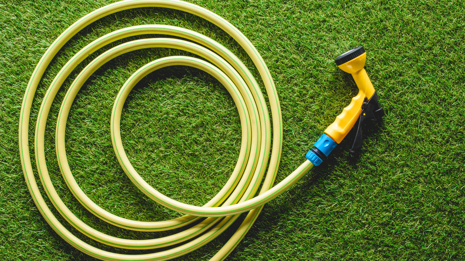 What You Need To Know Before Buying A Garden Hose At Home Depot