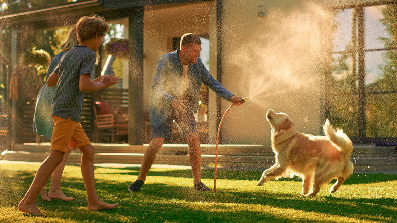 Family plays with garden hose