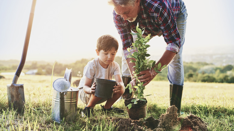 A boy and older gentleman planting a fruit tree