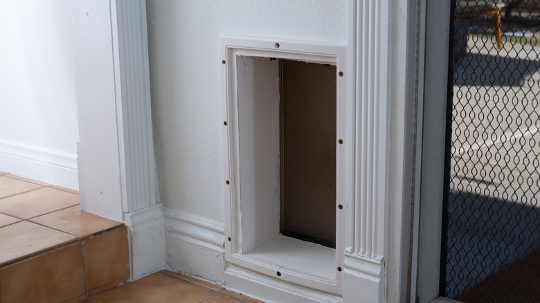 Dog door