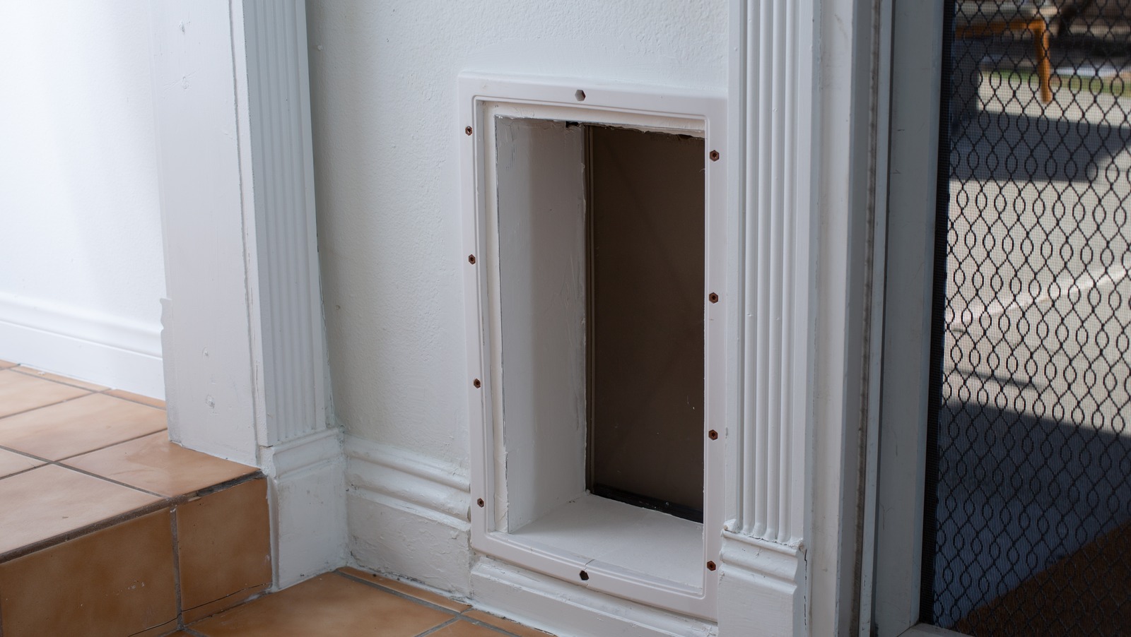 What You Should Know Before Installing A Dog Door