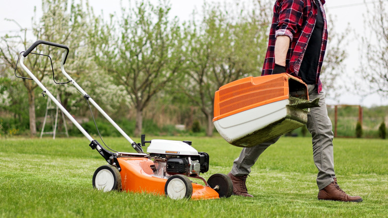 man in red plaid shirt carries grass clippings from his orange lawnmower