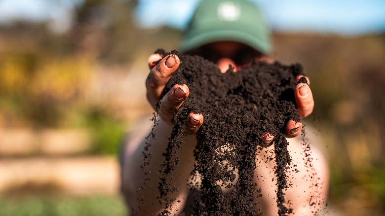 A person holds two overflowing handfuls of rich brown soil.