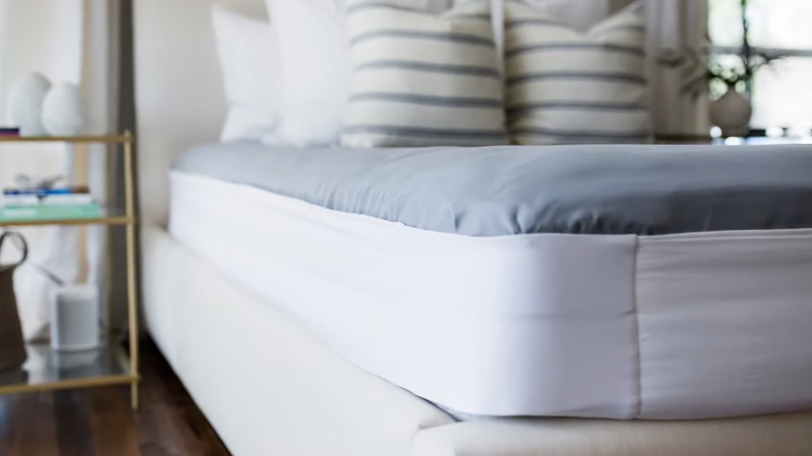 Whatever Happened To Better Bedder After Shark Tank Season 12?