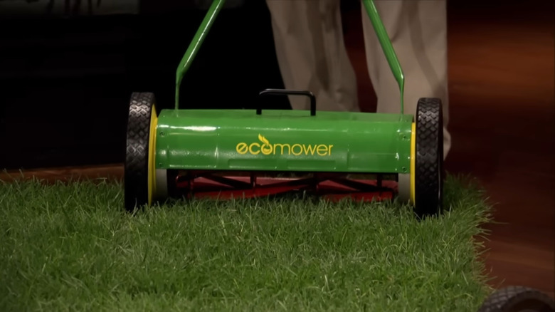 Ecomower on a plot of grass