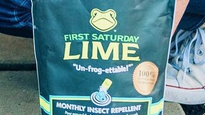 First Saturday Lime scoop