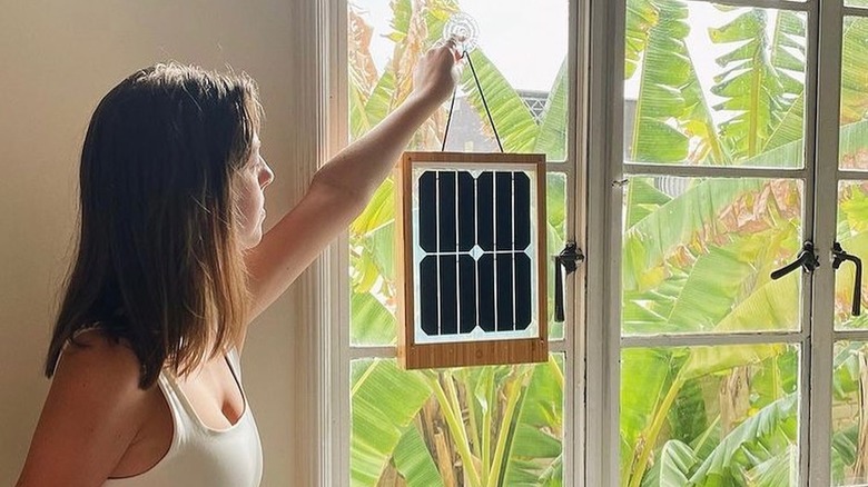 Woman hanging solar panel in window