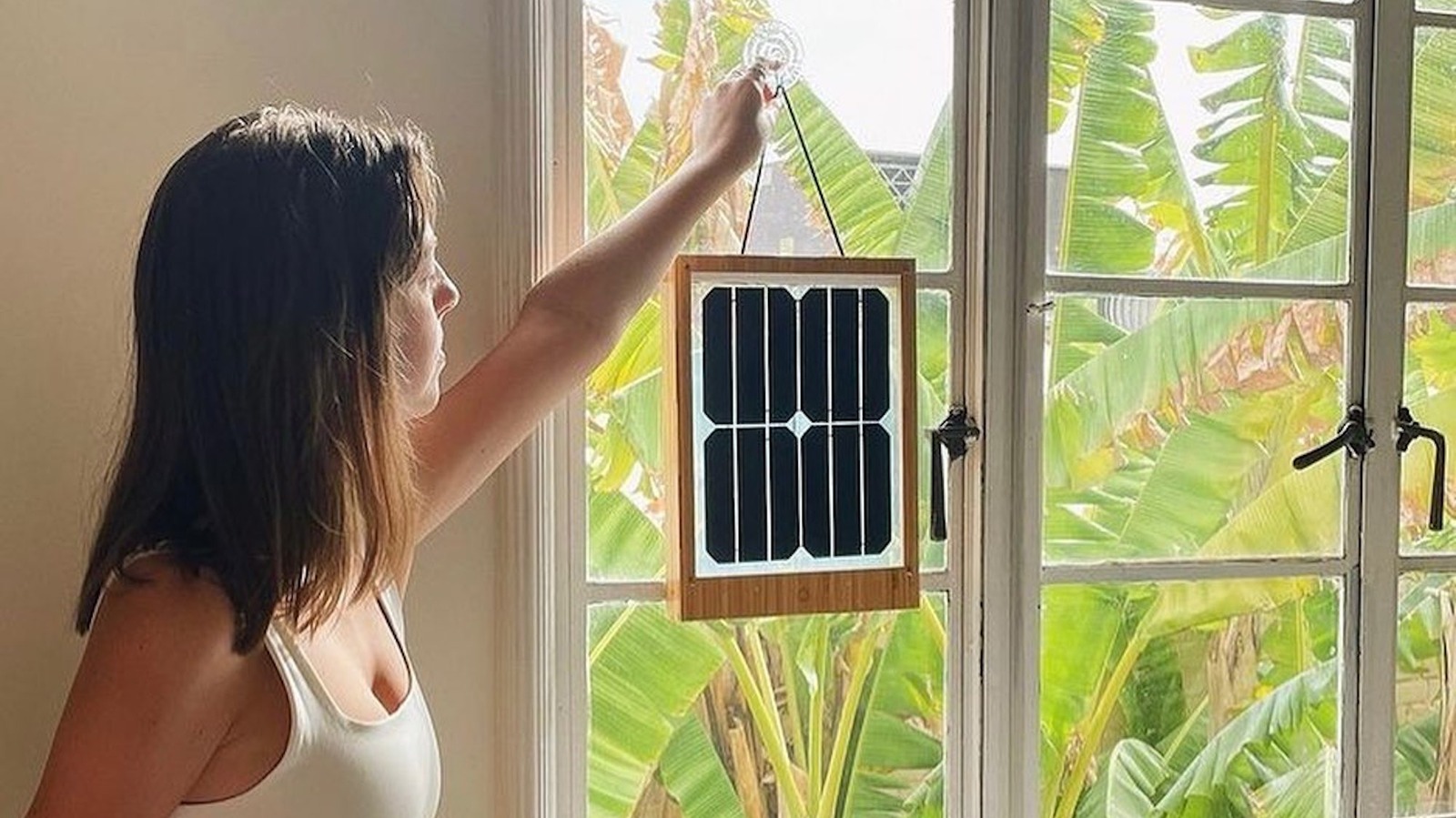 Whatever Happened To Grouphug Solar Panels For Windows After Shark Tank