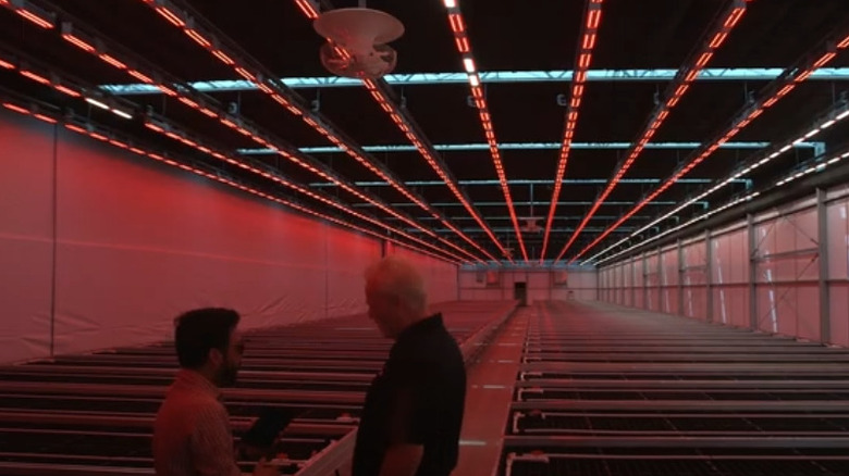 Two men talk in a room with MeshTek lights