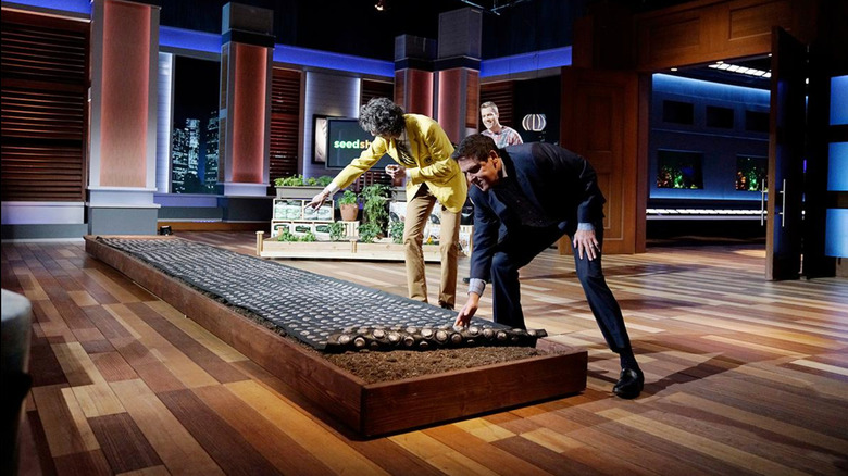 seedsheet shark tank pitch