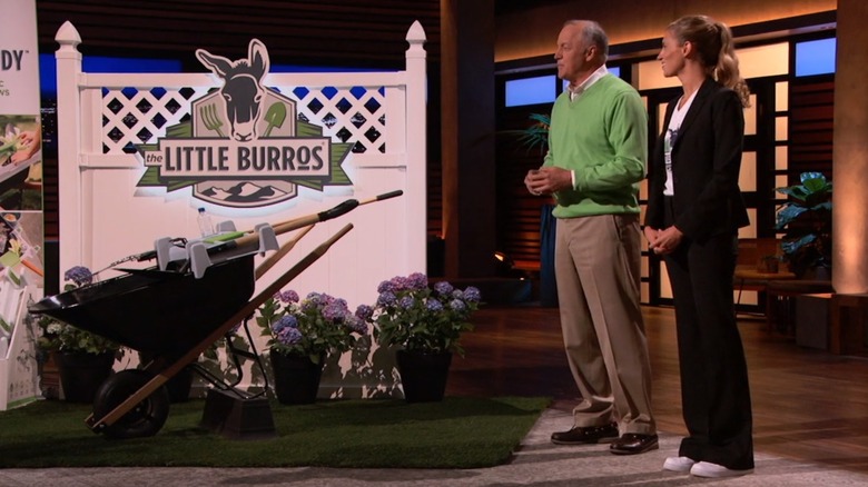 Little Burros Shark Tank pitch