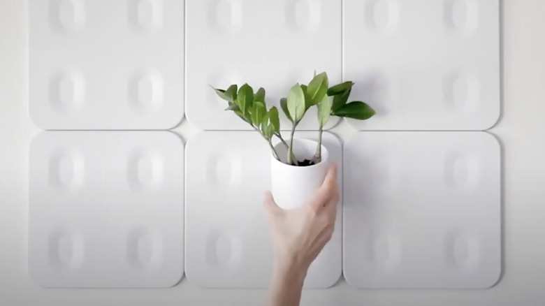 Modern meets natural in this assortment of planters