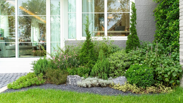 Corner garden by house windows