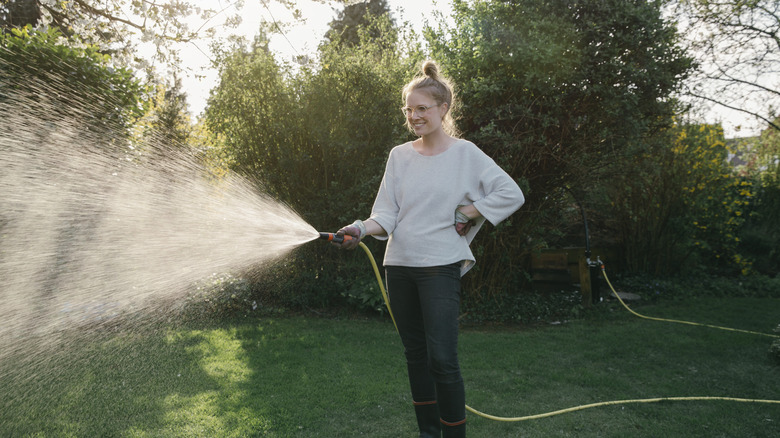 Someone using a hose to water their well-manicured lawn.