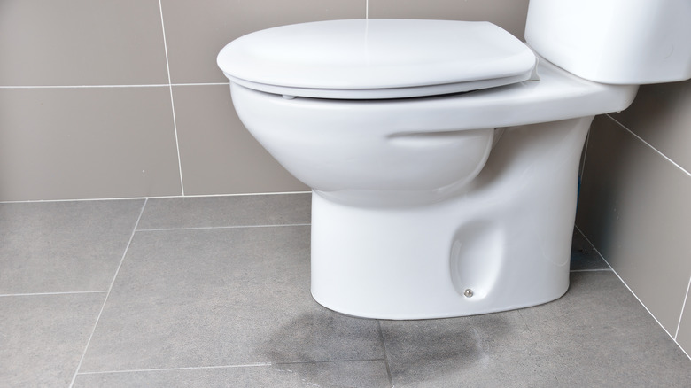 Water pooling at base of toilet