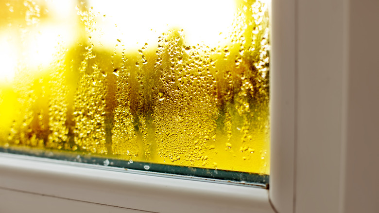 window with condensation 